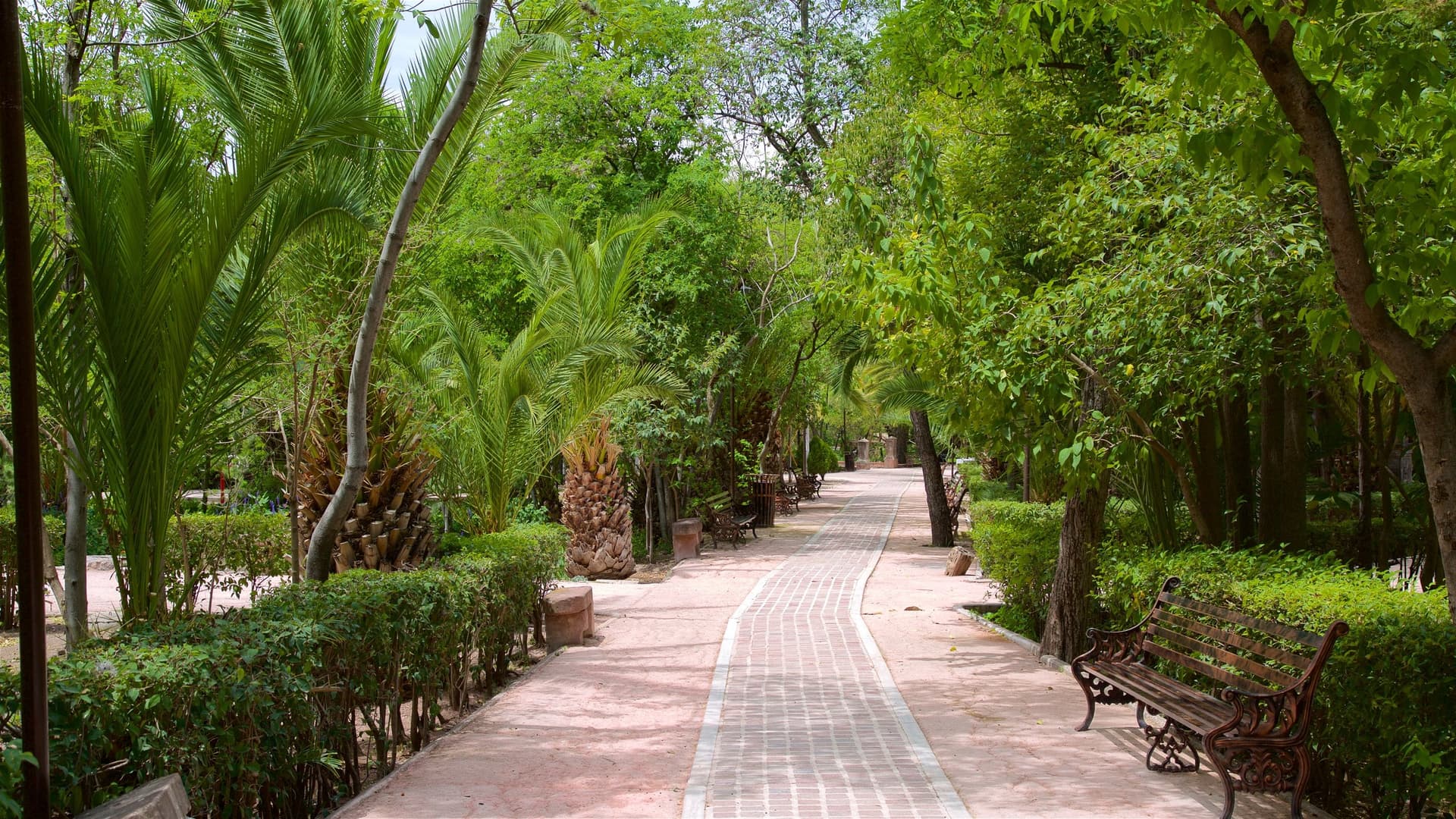 Aventura y Cultura en San Miguel de Allende, Guanajuato: Un Pueblo Mágico Único