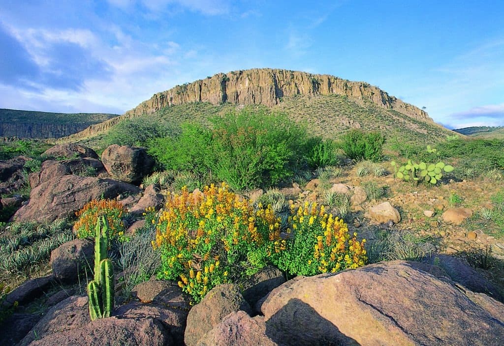 Aventura a la Vuelta de la Esquina en San Miguel de Allende
