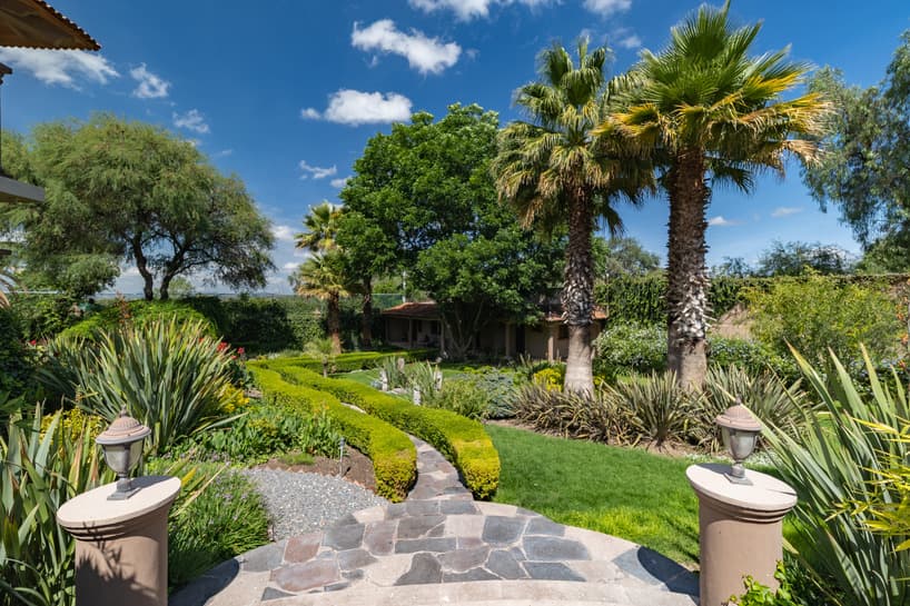 Casa las Palmas, San Miguel de Allende imagen 5